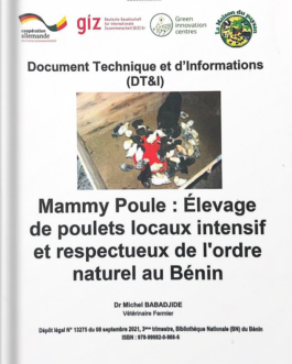 Mammy Poule: Élevage de poulets locaux intensif et respectueux de l’ordre naturel